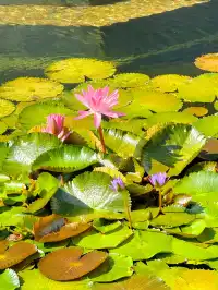 韶關乳源一個很不錯的地方