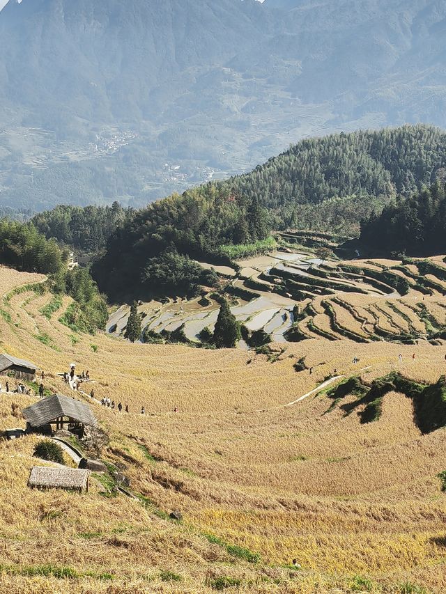 雲和梯田 雲和梯田