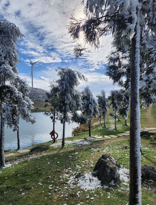 週末衝仰天湖剛好趕上霧淞收尾雙重驚喜 週末衝仰天湖剛好趕上霧淞收尾雙重驚喜