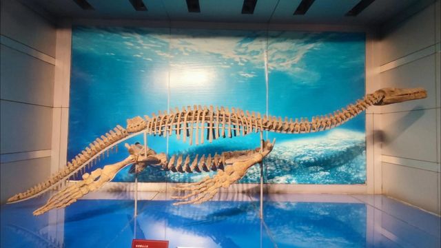 穿越兩億年的溫柔叩門聆聽時間破碎的聲音 穿越兩億年的溫柔叩門聆聽時間破碎的聲音