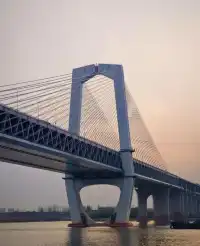 蕪湖花最值6元 輪渡江景直接封神