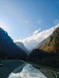 【唐家河秘境】小眾旅行玩法攻略！