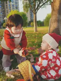 德陽東湖山水杉黃綠漸變美成莫奈畫!