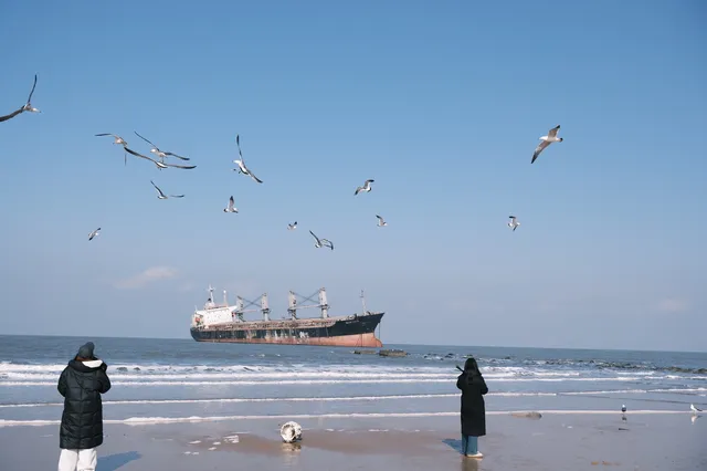 曲項向天歌~ 曲項向天歌~