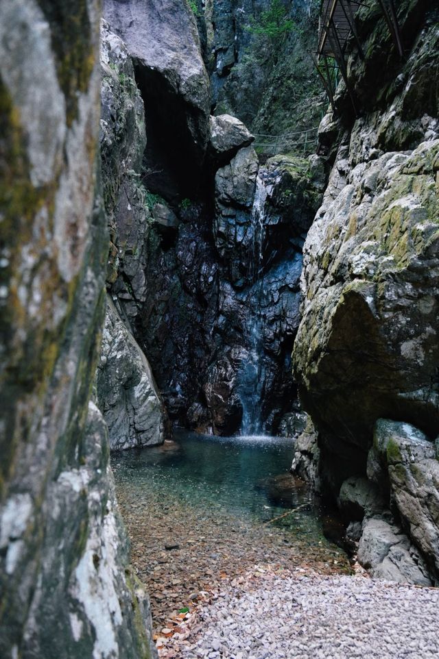 青雲山秋冬攻略|絕美雲海與暖心溫泉 青雲山秋冬攻略|絕美雲海與暖心溫泉