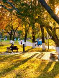 秋色滿園絕美倒映