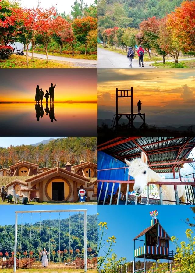 闖入嶺南的金色童話!落羽杉觀賞期已至 闖入嶺南的金色童話!落羽杉觀賞期已至