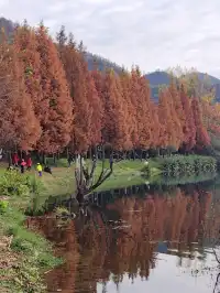 貴陽初冬·唯一想去無數次的公園