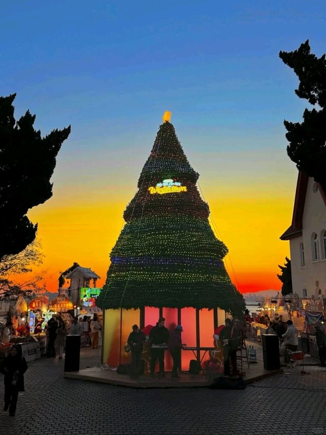 🎄청도의 크리스마스 마을, 드디어 🎄청도의 크리스마스 마을, 드디어