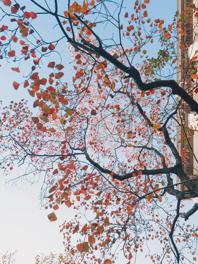 Citywalk | 城市治癒綠洲·上生新所2期探秘 Citywalk | 城市治癒綠洲·上生新所2期探秘