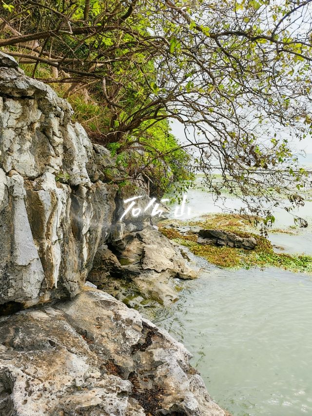 12月石公山｜太湖邊最會“裝”的小山，把冬天過成了小春 