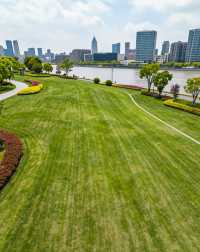 魔都版莫奈花園打卡|四季皆美,打卡不踩雷