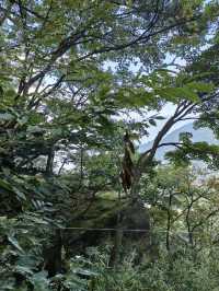 縱覽雲飛石~空中觀景台