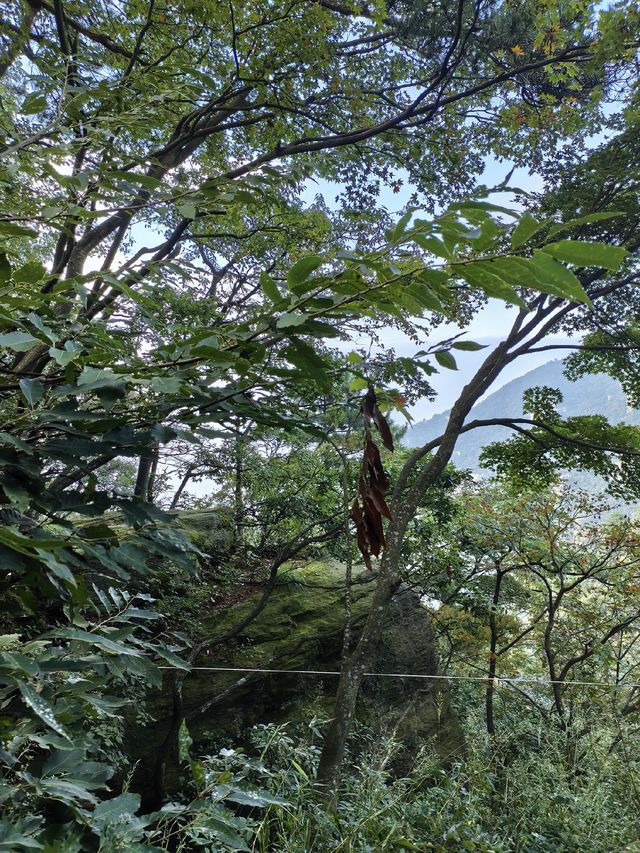 縱覽雲飛石~空中觀景台 縱覽雲飛石~空中觀景台