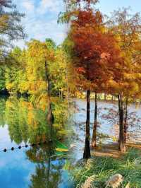 江蘇人嘴真嚴,這麼美的地方藏著不說~