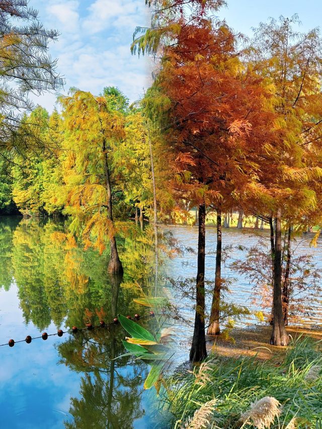 江蘇人嘴真嚴,這麼美的地方藏著不說~ 江蘇人嘴真嚴,這麼美的地方藏著不說~