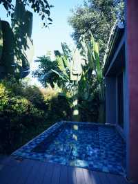 西雙版納5星住宿天花板：懸崖view+雲海