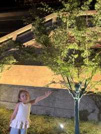 去了三次魯源村