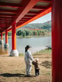 就在深圳超愛的免費寶藏遛娃地，超chill