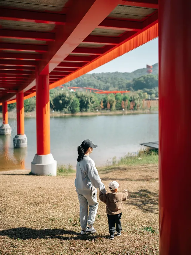就在深圳超愛的免費寶藏遛娃地，超chill