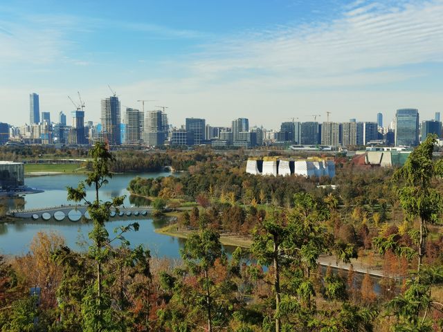 魔都秋色打卡 魔都秋色打卡