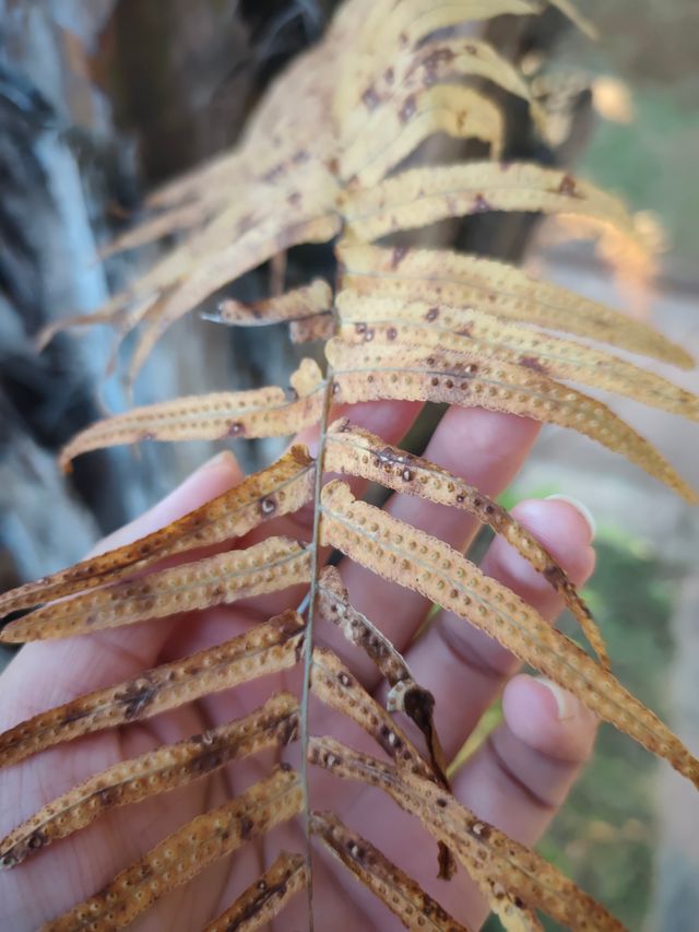 普洱這個小眾秘境，藏著最治癒的冬日暖陽