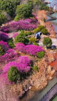 別再只知道黃山了!池州才是安徽的寶藏旅行地