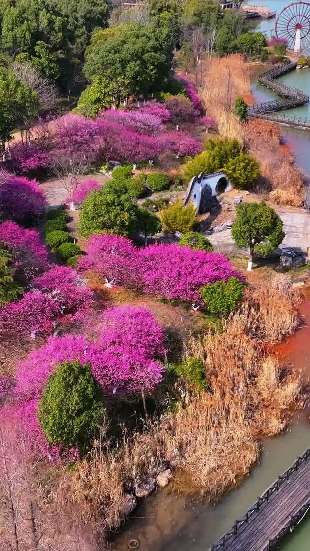別再只知道黃山了!池州才是安徽的寶藏旅行地 別再只知道黃山了!池州才是安徽的寶藏旅行地
