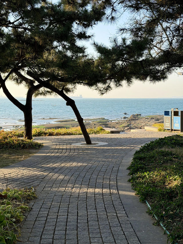 青島冬日Seawalk新路線太平角公園拍照攻略Get! 青島冬日Seawalk新路線太平角公園拍照攻略Get!