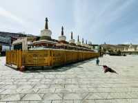 打卡青海塔爾寺