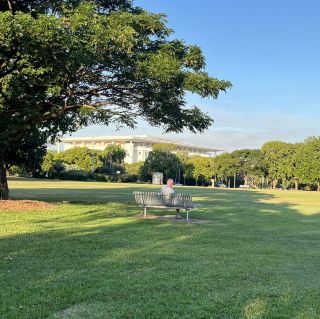 Bicentennial Park Darwin: Grasslands & Sunsets That Steal the Show!