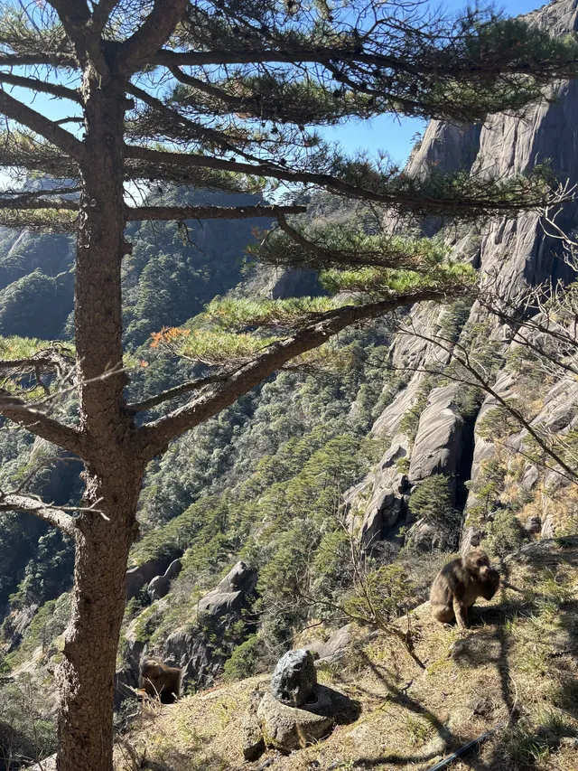 女大爬黃山 不住宿版路線