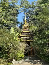 曼聽公園有自己的翡翠湖(附攻略