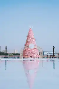 4歲寶寶的第一次上冰體驗!