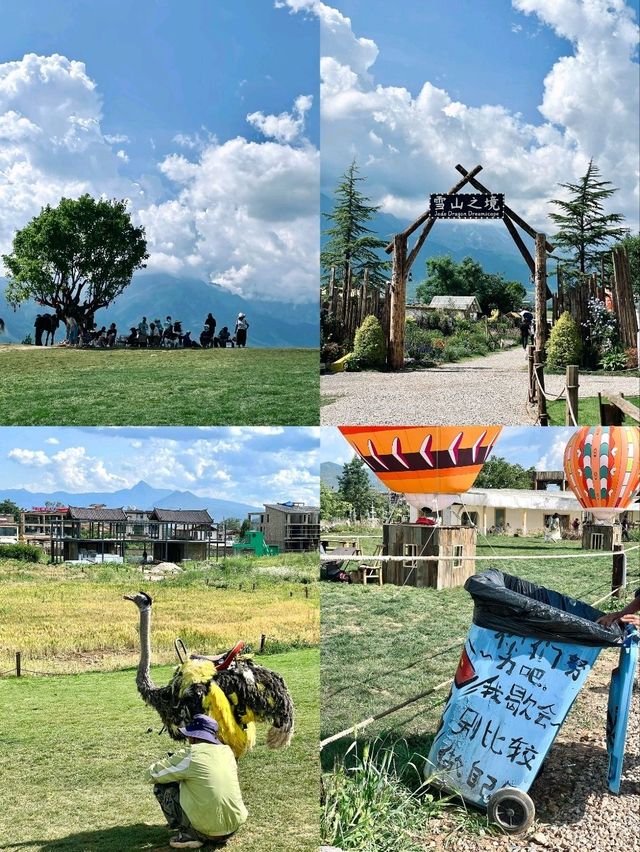 🏔️ 玉龍雪山腳下絕美🏔免費拍照打卡的牧場! 🏔️ 玉龍雪山腳下絕美🏔免費拍照打卡的牧場!