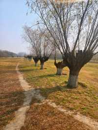 漢風起兮城 長安未央宮