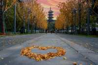 龍華古鎮賞秋攻略