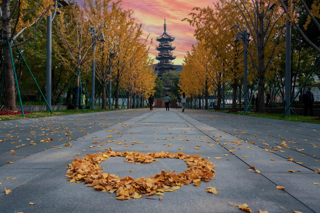 龍華古鎮賞秋攻略 龍華古鎮賞秋攻略