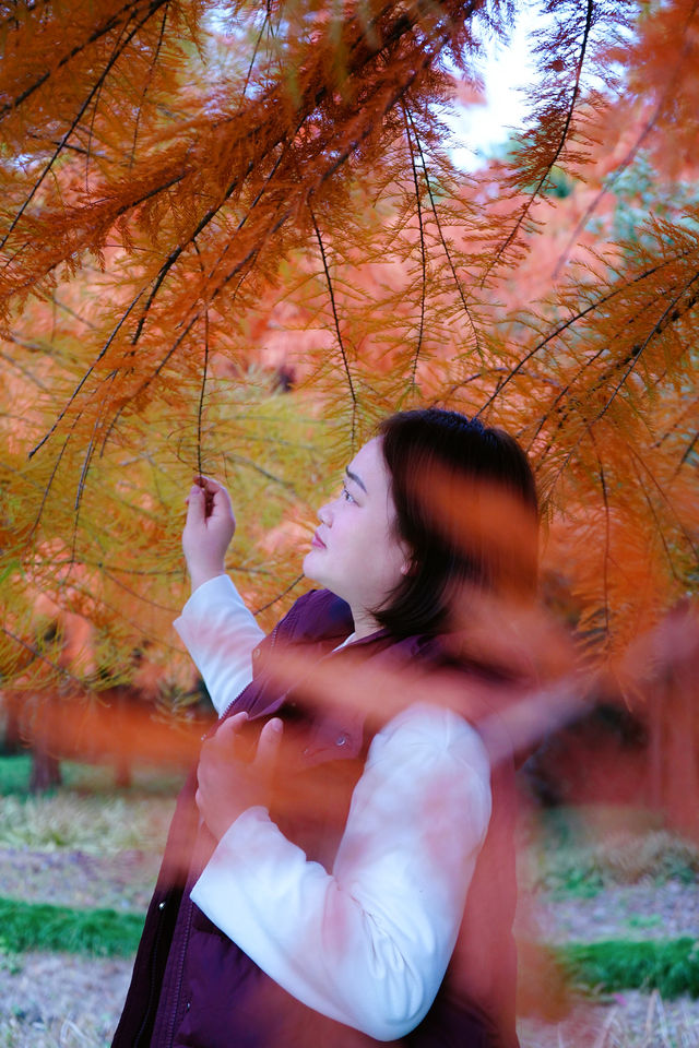 上海|又給大家找到一個拍照好去處絕對出片 上海|又給大家找到一個拍照好去處絕對出片