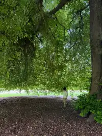 帶5歲娃闖新西蘭南島11天自駕!旅行路線篇
