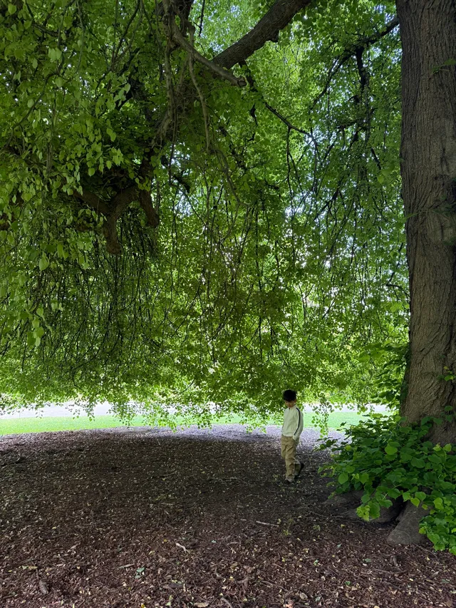 帶5歲娃闖新西蘭南島11天自駕!旅行路線篇 帶5歲娃闖新西蘭南島11天自駕!旅行路線篇