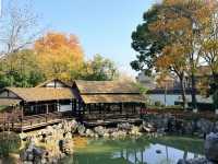 超全南京愚園冬日攻略！小眾玩法+拍照機位大公開