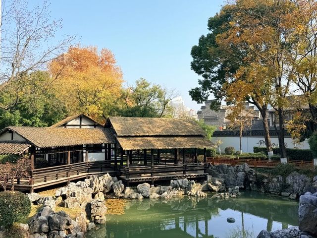 超全南京愚園冬日攻略！小眾玩法+拍照機位大公開