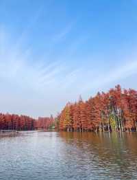 尚湖秋日醉美秘境