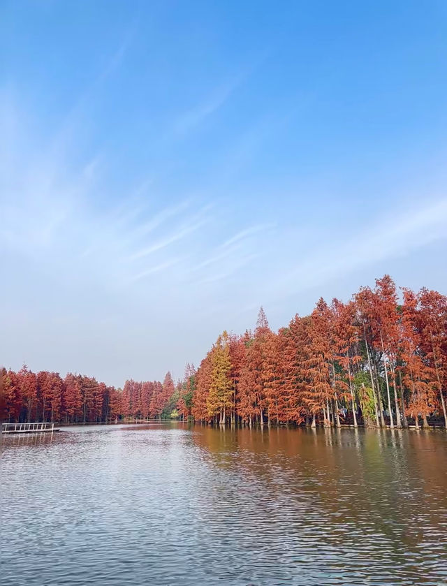 尚湖秋日醉美秘境 尚湖秋日醉美秘境