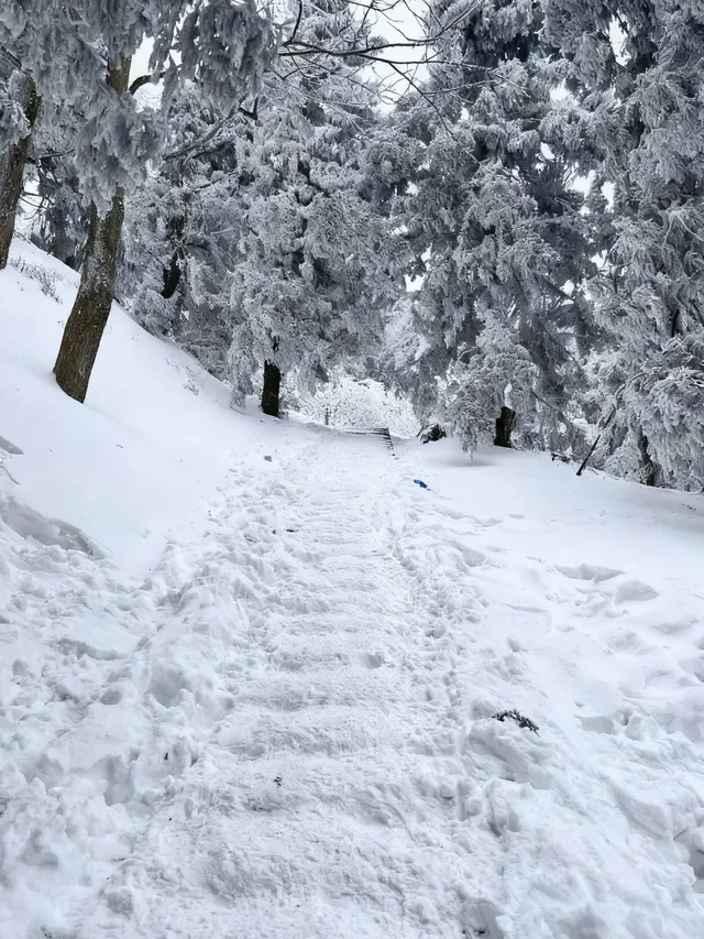 廣東人狂喜!成功在衡山追到初雪(附攻略 廣東人狂喜!成功在衡山追到初雪(附攻略