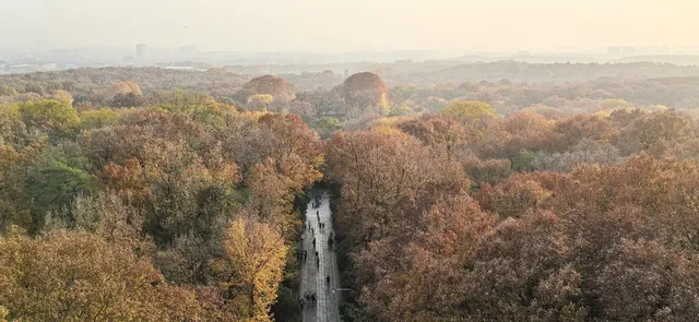愛上金陵的秋(五) 愛上金陵的秋(五)