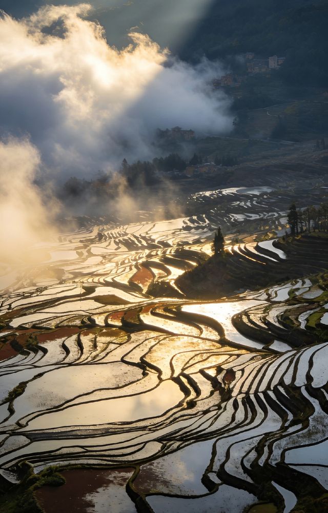 最險梯田星軌拍攝攻略 最險梯田星軌拍攝攻略