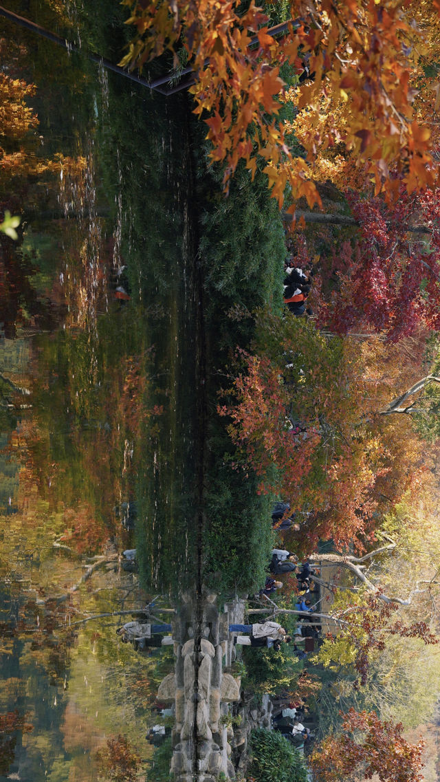 天平山的秋天絕了! 天平山的秋天絕了!