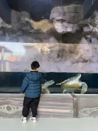 舟山-普陀山 還願遛娃之旅